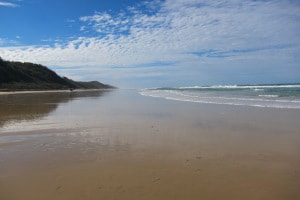 Beach Fraser Island