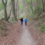Rheinsteig: Fürstenweg