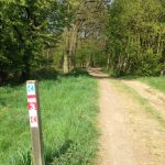 Rheinsteig: Fürstenweg